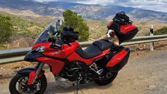 Ducati Multistrada 1200 S (2013 - 14) usata