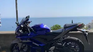 Yamaha YZF R3 (2019 - 20)  (3)