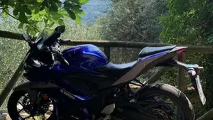 Yamaha YZF R3 (2019 - 20)  (7)