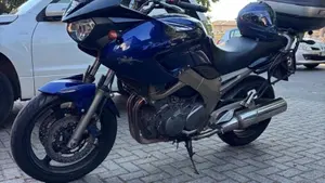 Yamaha TDM 900 (2002 - 14)  (5)