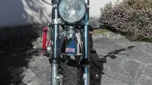 Triumph   (3)