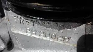 Triumph   (4)
