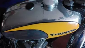Triumph   (6)