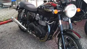Triumph Bonneville SE (2009 - 13)  (2)