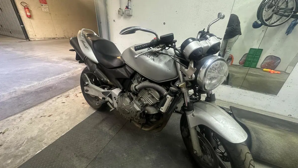Honda Hornet 600 (2003 - 04)  (6)