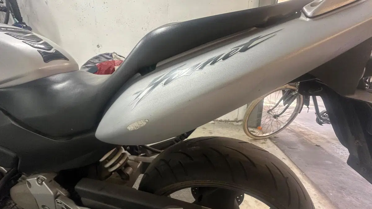 Honda Hornet 600 (2003 - 04)  (8)