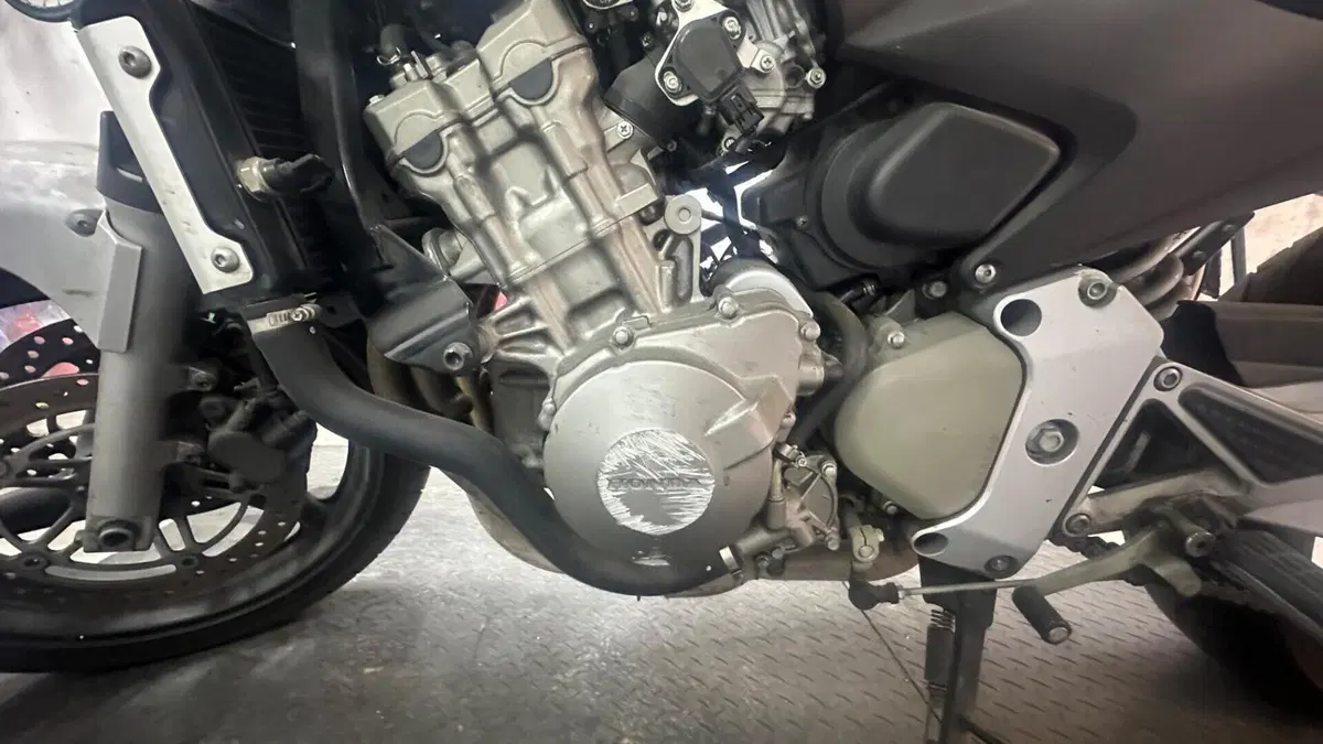 Honda Hornet 600 (2003 - 04)  (9)