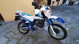 Suzuki   (2)