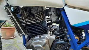 Suzuki   (3)