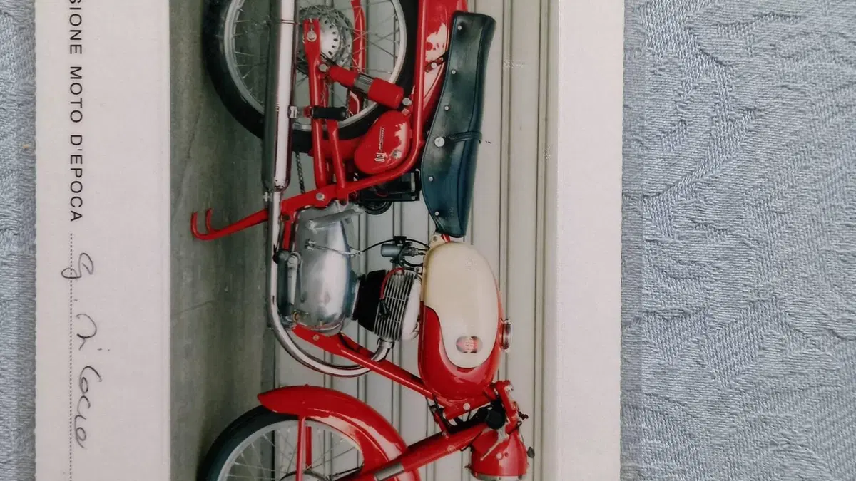 Gilera   (5)