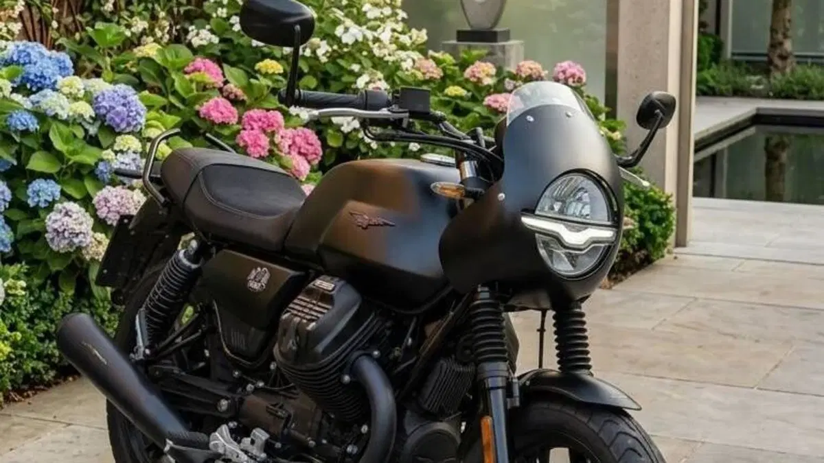 Moto Guzzi V7 Stone (2021 - 24) 