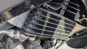 Benelli Tornado Tre 1130 Naked Spot Evo (2007 - 09)  (13)