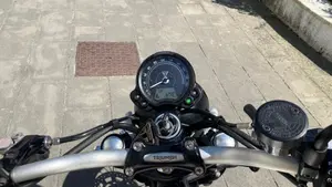 Triumph Street Scrambler 900 (2021 - 22)  (6)