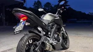 Yamaha MT-125 (2014 - 16)  (4)