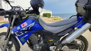 Yamaha XT 660 R (2004 - 16)  (4)