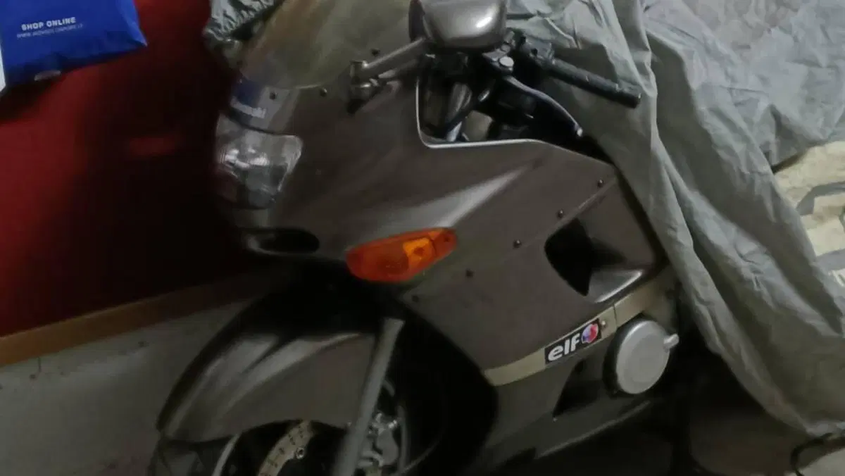 Kawasaki ZZR 600 (1990 - 00)  (9)