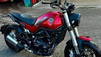 Benelli Leoncino 500 (2021 - 25) usata