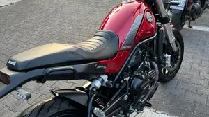 Benelli Leoncino 500 (2021 - 25)  (5)