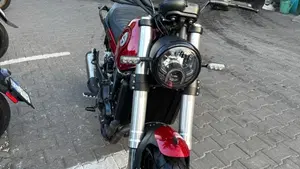 Benelli Leoncino 500 (2021 - 25)  (7)