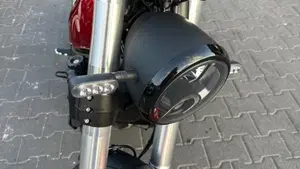 Benelli Leoncino 500 (2021 - 25)  (9)