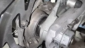 KTM 125 SX (2024)  (4)