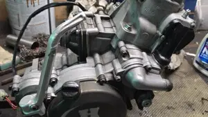 KTM 125 SX (2024)  (8)