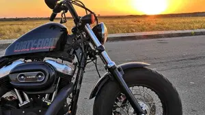 Harley-Davidson 1200 Forty-Eight (2010 - 15)  (2)