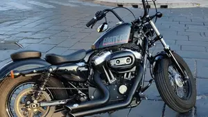 Harley-Davidson 1200 Forty-Eight (2010 - 15)  (3)