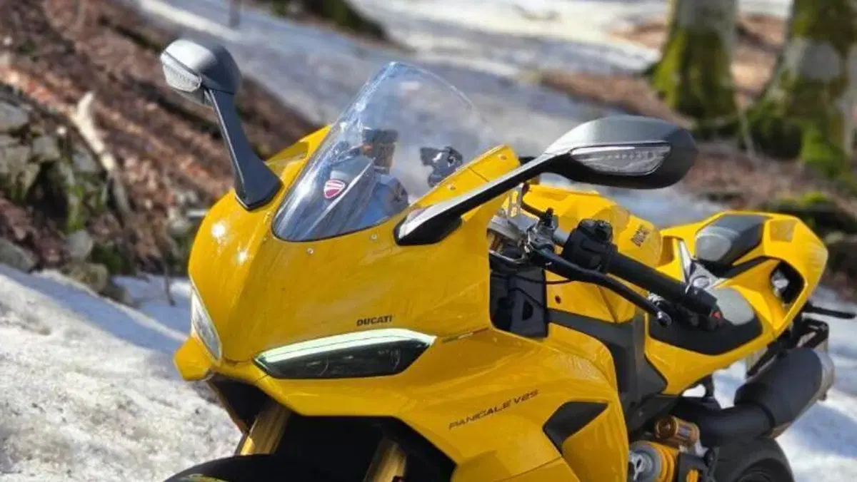 Ducati Panigale V2 S (2025 - 26) 