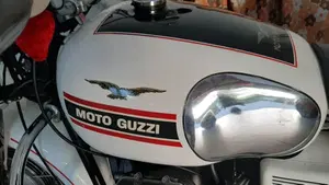 Moto Guzzi   (8)