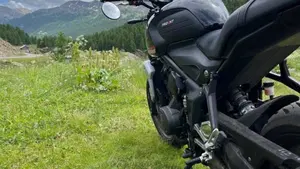 Triumph Trident 660 (2021 - 24)  (3)