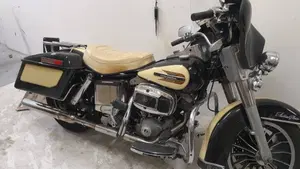 Harley-Davidson   (4)