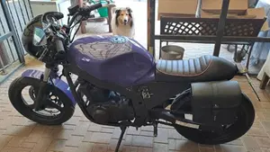 Suzuki GS 500 (2001 - 06)  (4)