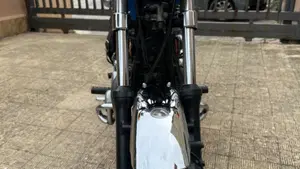 Kawasaki   (11)