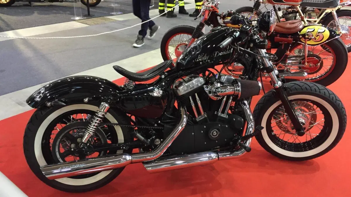 Harley-Davidson 1200 Forty-Eight (2010 - 15)  (2)