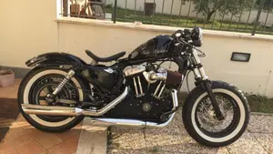 Harley-Davidson 1200 Forty-Eight (2010 - 15)  (3)