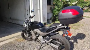 Honda Hornet 600 (2003 - 04)  (6)