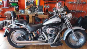 Harley-Davidson   (2)