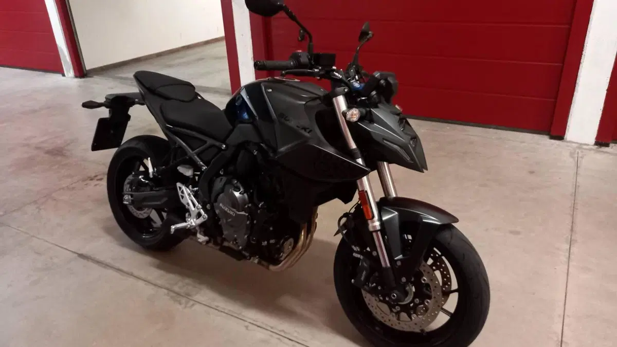 Suzuki GSX-8S (2023 - 24)  (3)