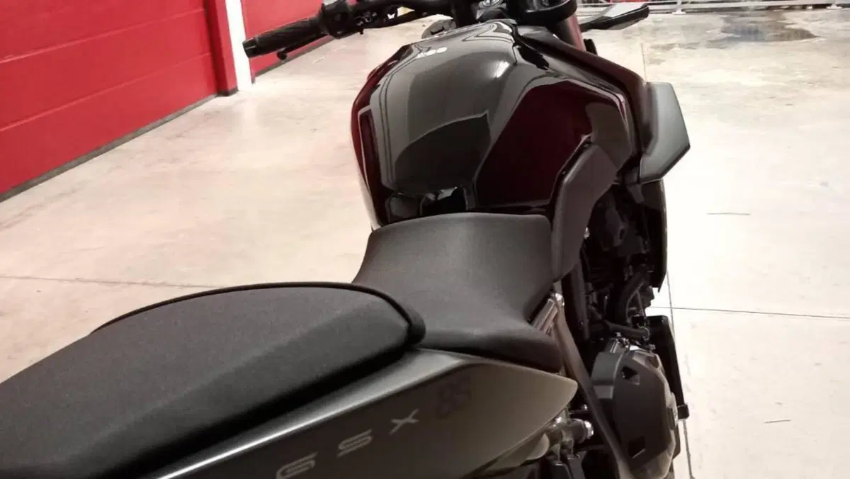 Suzuki GSX-8S (2023 - 24)  (5)