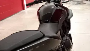 Suzuki GSX-8S (2023 - 24)  (5)