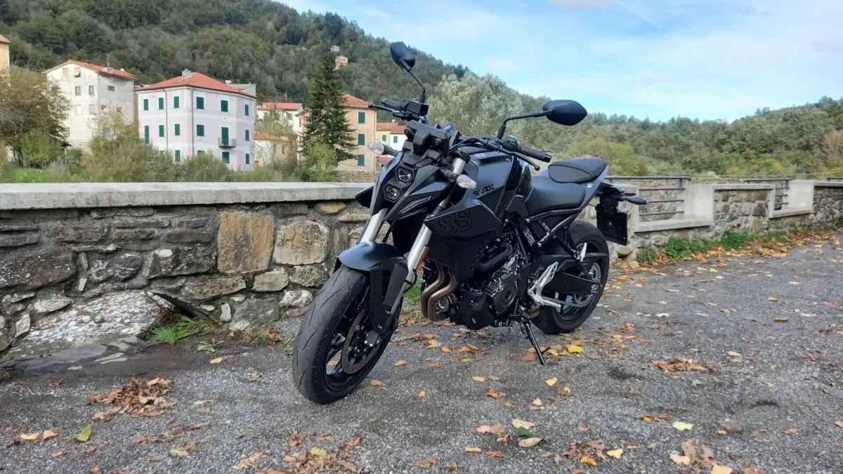Suzuki GSX-8S (2023 - 24)  (6)