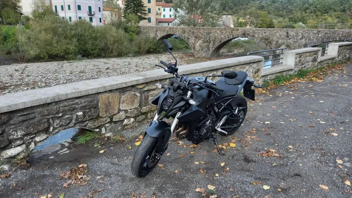 Suzuki GSX-8S (2023 - 24)  (7)