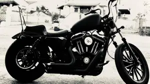 Harley-Davidson 883 Iron (2014 - 16) - XL 883N 