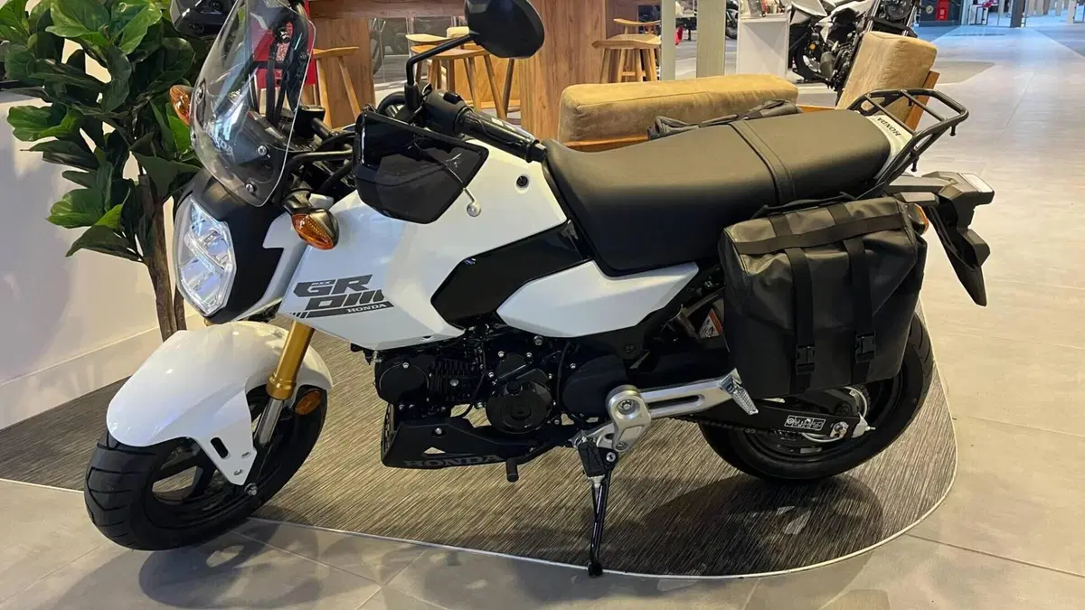 Honda MSX 125 Grom (2021 - 26) 