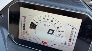 Sym ADX 300 (2024 - 26)  (8)