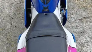 Suzuki RG 250 Gamma (1989 - 93)  (3)