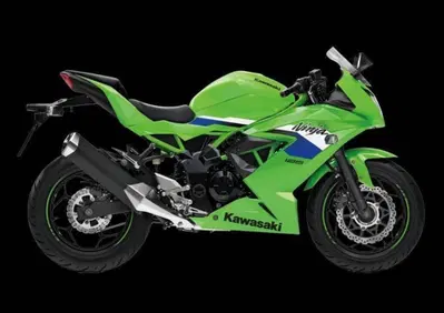 Kawasaki Ninja 125 (2025 - 26) - Annuncio 9987022