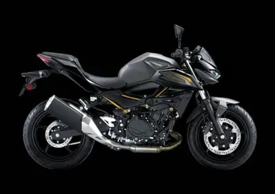 Kawasaki Z 500 (2024 - 26) - Annuncio 9987041
