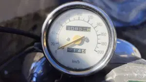 Yamaha   (3)